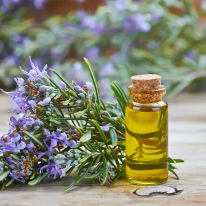 Rosemary Oil