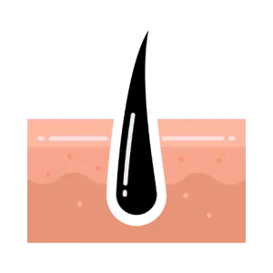3 5 1.webp