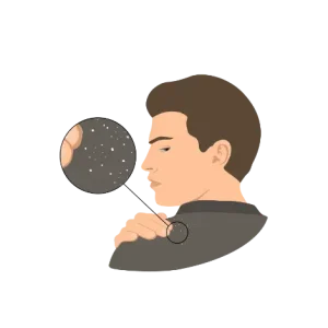 4 2 1.webp