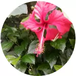 Anyconv.com 39.webp