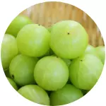 Anyconv.com 40.webp