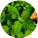 Anyconv.com 41.webp