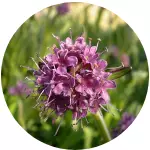 Anyconv.com 43.webp