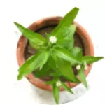 Anyconv.com 46.webp