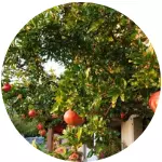 Anyconv.com 48.webp