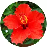 Anyconv.com 52.webp