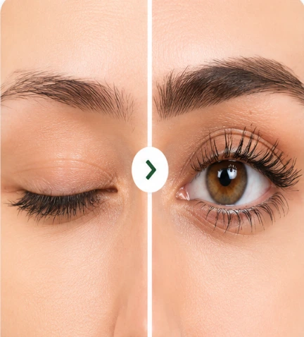 Eyebrow Growth Transformation